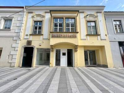 Gewerbeobjekt kaufen in 2700 Wiener Neustadt