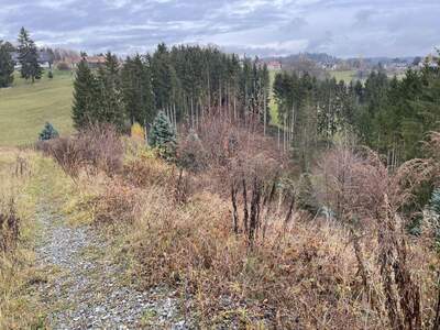 Grundstück kaufen in 8302 Nestelbach (Bild 5)