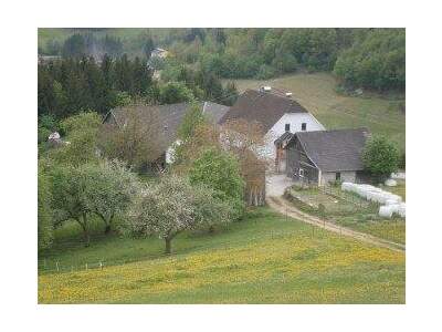 Bauernhaus kaufen in 4391 Waldhausen (Bild 4)