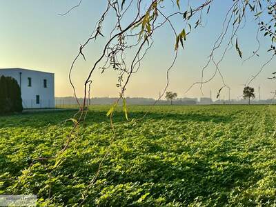 Grundstück kaufen in 2486 Pottendorf (Bild 2)