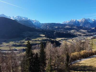 Grundstück kaufen in 5452 Pfarrwerfen