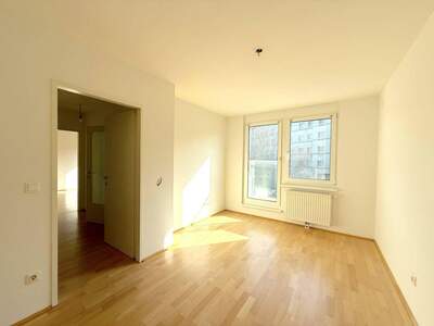 Wohnung kaufen in 1100 Wien