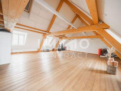 Gewerbeobjekt kaufen in 2320 Mannswörth (Bild 4)