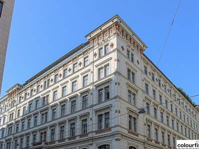 Gewerbeobjekt mieten in 1010 Wien (Bild 1)