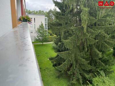 Terrassenwohnung mieten in 4020 Linz (Bild 3)