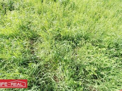 Grundstück kaufen in 4261 Rainbach