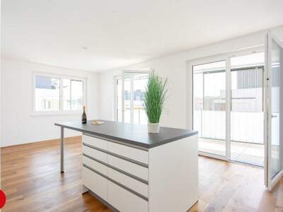 Terrassenwohnung mieten in 2320 Schwechat (Bild 1)