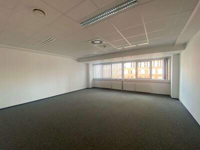 Gewerbeobjekt mieten in 1030 Wien (Bild 4)
