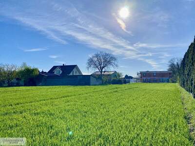 Grundstück kaufen in 2486 Pottendorf (Bild 2)