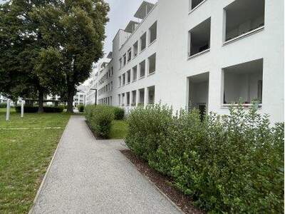 Terrassenwohnung mieten in 4020 Linz (Bild 3)