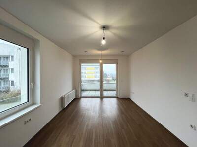 Terrassenwohnung mieten in 3062 Kirchstetten (Bild 1)