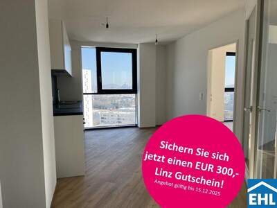 Terrassenwohnung mieten in 4020 Linz (Bild 1)