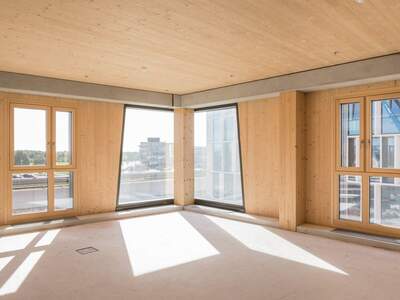 Gewerbeobjekt mieten in 1220 Wien (Bild 1)