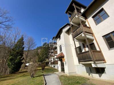 Apartment provisionsfrei mieten in 8103 Steiermark