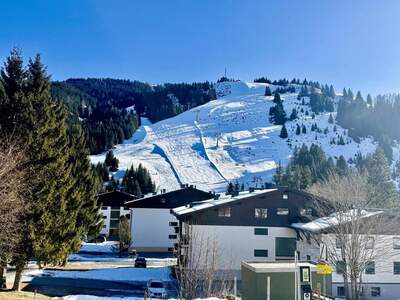 Wohnung kaufen in 5761 Hinterthal