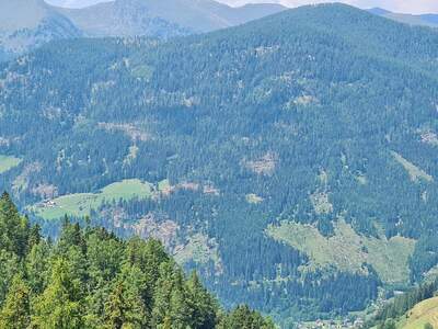 Jagd- und Forstwirtschaft kaufen in 9565 Reichenau (Bild 3)