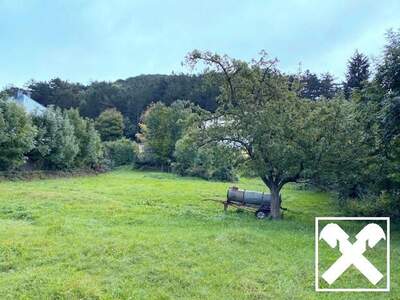 Grundstück kaufen in 2733 Grünbach (Bild 4)