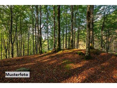 Grundstück kaufen in 6361 Hopfgarten (Bild 1)