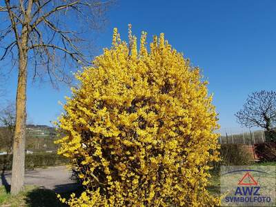 Grundstück kaufen in 4654 Bad Wimsbach