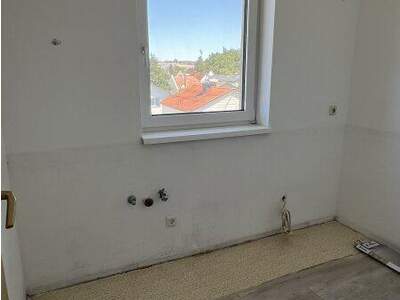 Terrassenwohnung mieten in 4470 Enns (Bild 3)