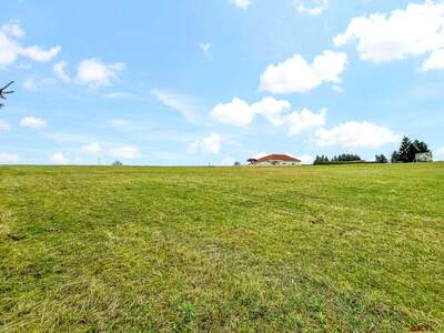 Grundstück kaufen in 7572 Deutsch Kaltenbrunn (Bild 2)