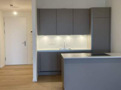 Apartment provisionsfrei mieten in 1020 Wien