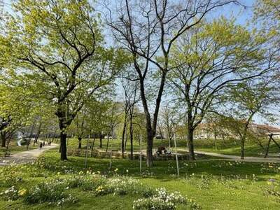 Wohnung kaufen in 1210 Wien