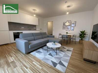 Terrassenwohnung mieten in 1230 Wien (Bild 1)