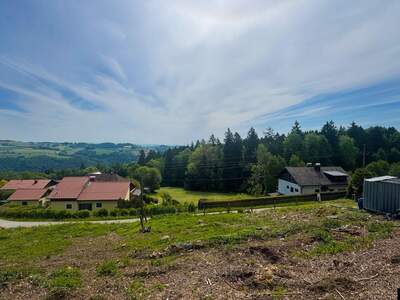 Grundstück kaufen in 4040 Lichtenberg (Bild 3)