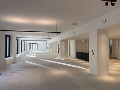 Gewerbeobjekt mieten in 1070 Wien (Bild 4)