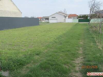 Grundstück kaufen in 7141 Podersdorf