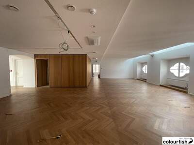 Gewerbeobjekt mieten in 1010 Wien (Bild 5)