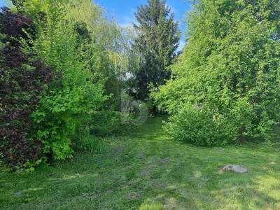 Grundstück kaufen in 3464 Hausleiten (Bild 2)