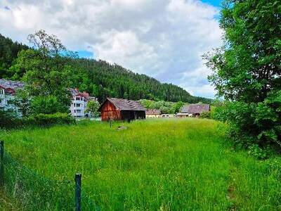 Grundstück kaufen in 9344 Weitensfeld (Bild 4)