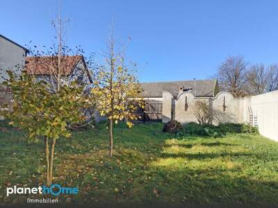 Grundstück kaufen in 2432 Schwadorf (Bild 1)