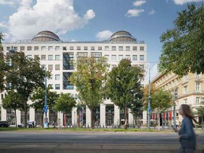 Gewerbeobjekt mieten in 1010 Wien (Bild 5)