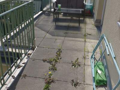 Apartment provisionsfrei mieten in 1130 Wien