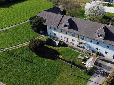 Haus kaufen in 4221 Steyregg