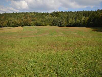Gewerbeobjekt kaufen in 7433 Bergwerk