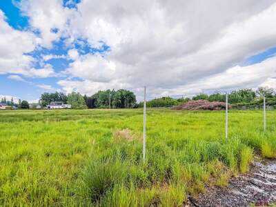 Gewerbeobjekt kaufen in 8141 Oberpremstätten (Bild 2)