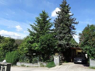 Haus kaufen in 2534 Alland