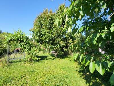 Reihenhaus kaufen in 2384 Breitenfurt (Bild 5)