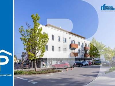 Immobilie mieten in 4050 Traun