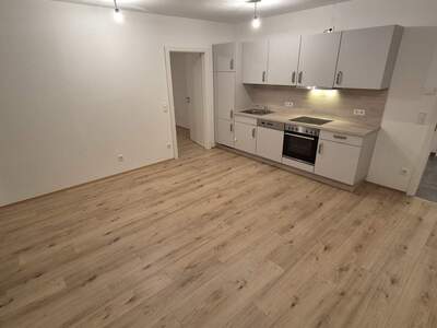 Terrassenwohnung mieten in 8020 Graz (Bild 3)