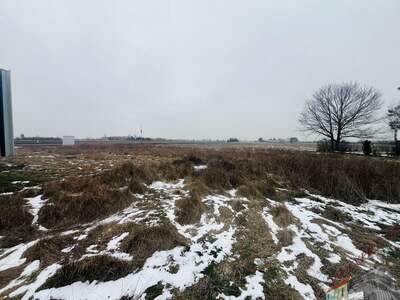 Grundstück kaufen in 2201 Seyring