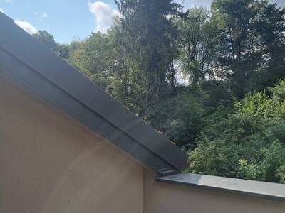 Haus kaufen in 4030 Linz