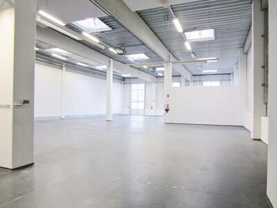 Lager mieten in 1230 Wien (Bild 4)