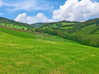 Haus kaufen in 2534 Alland