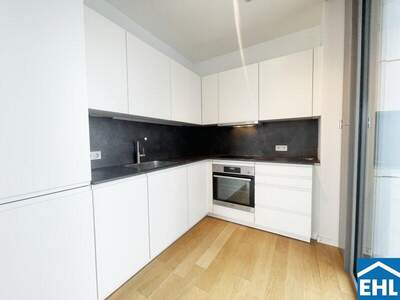 Terrassenwohnung mieten in 1100 Wien (Bild 3)