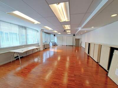 Gewerbeobjekt mieten in 1190 Wien (Bild 5)